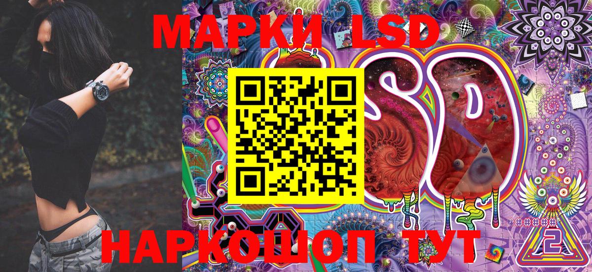 Наркотические марки  Марки N-bome 1500мкг  Вход с VPN  Горячий Ключ  Марки N-bome 1500мкг 