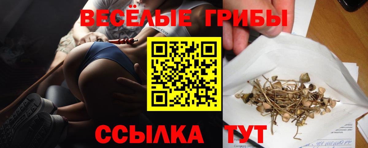 Горячий Ключ  Псилоцибиновые грибы Magic Shrooms  Вход с VPN 